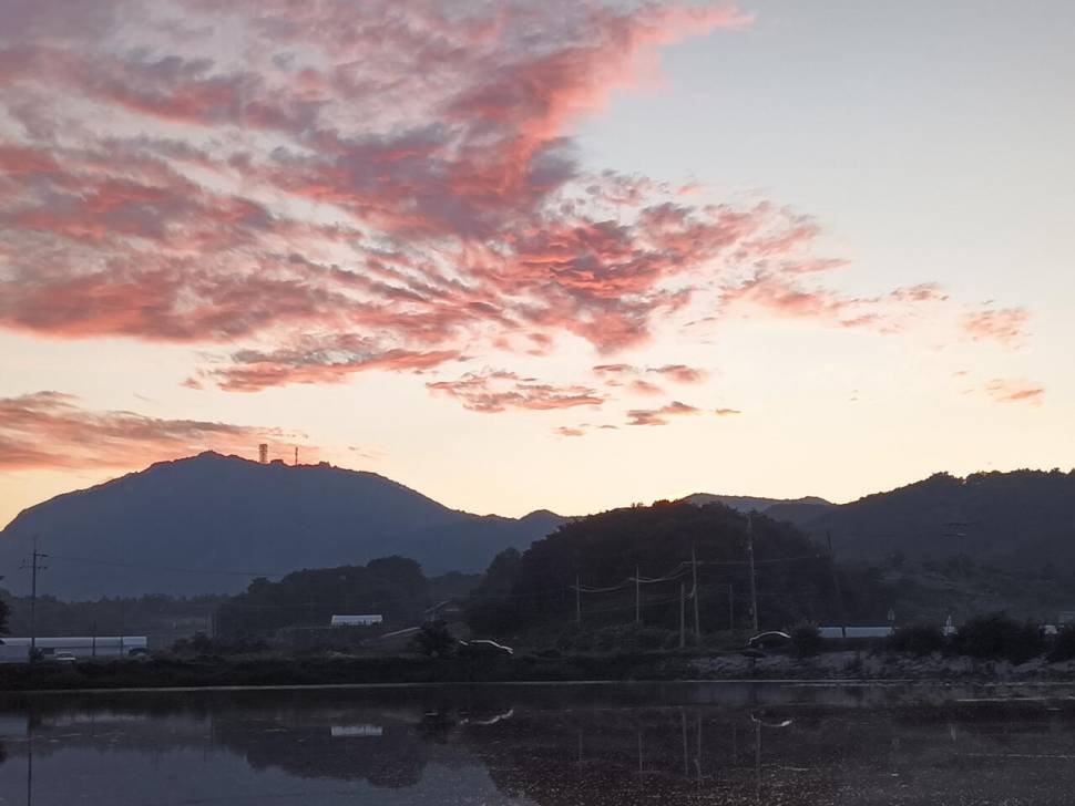 요즘 붕어 얼굴 보기 힘드네요 (조황조행기 - 화보조행기)