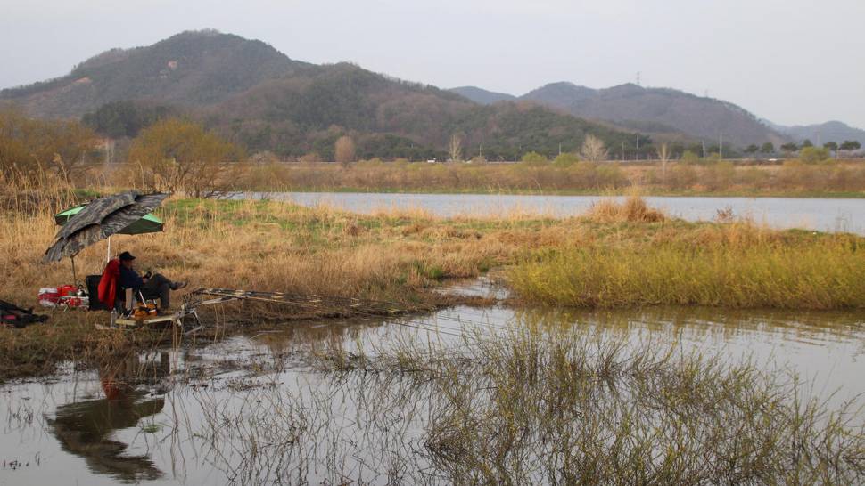 금강 산란중에 낚인 대어들 (조황조행기 - 화보조행기)