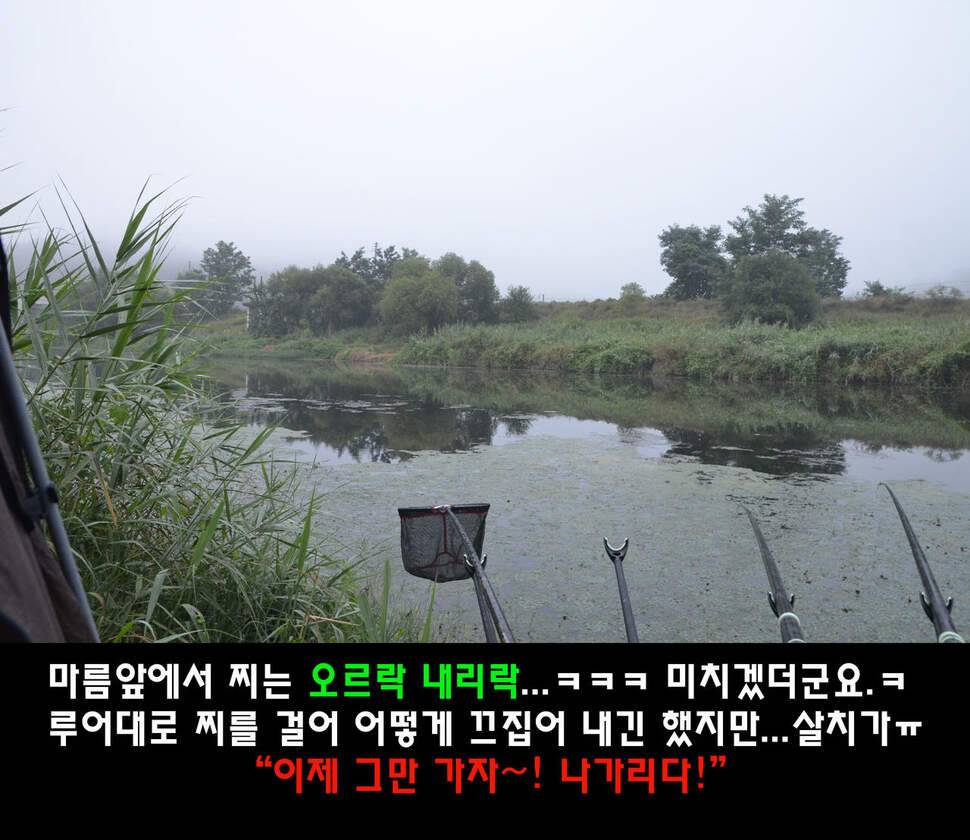 이장의 강호지락 두계천 조업 1편 (조황조행기 - 화보조행기)