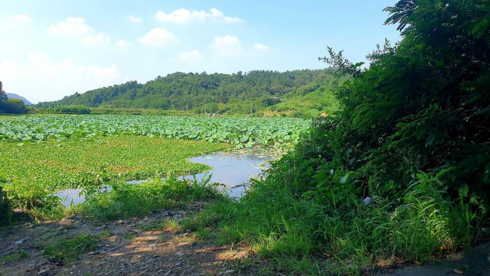 홀로한낚시 (조황조행기 - 화보조행기)