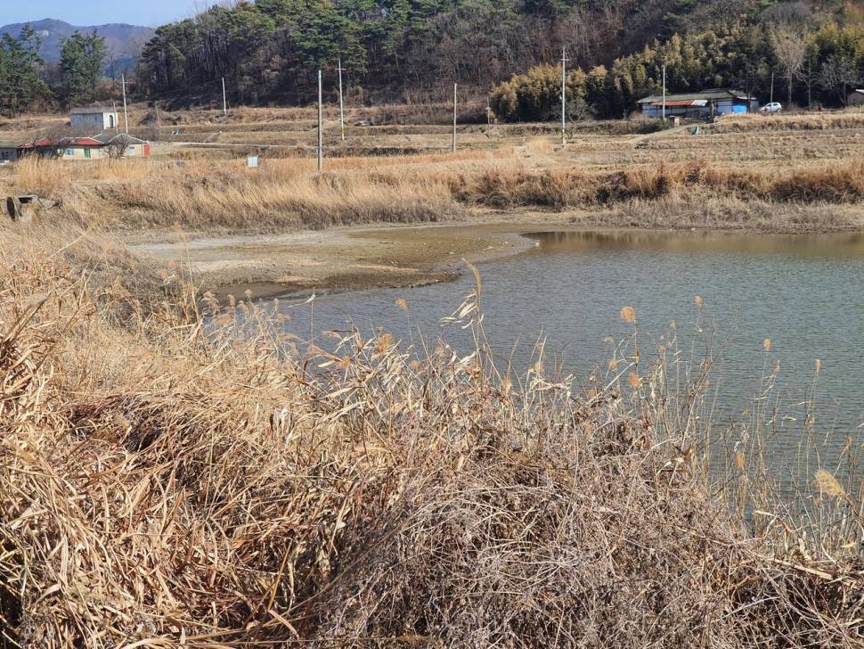꾼들의 마음만 봄인가봐 212 (조황조행기 - 화보조행기)