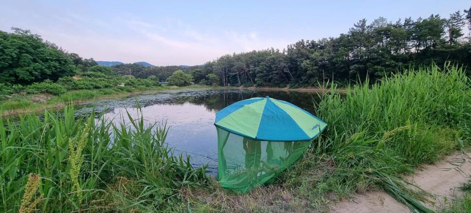 황금빛 붕어는 여기에 (조황조행기 - 화보조행기)
