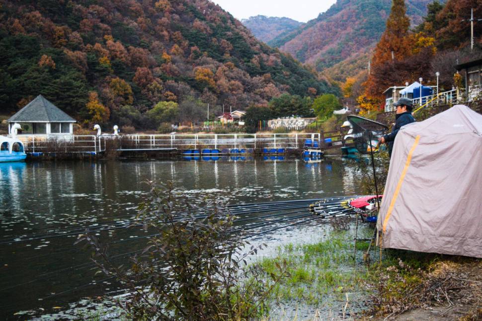 공간의 낚시 조행기 (조황조행기 - 화보조행기)