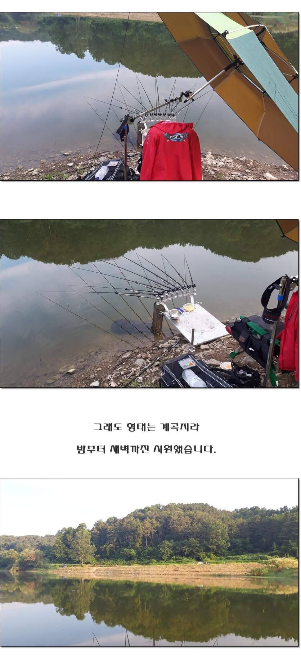 습작에선 마지막 조행기네요 217 (조황조행기 - 화보조행기)