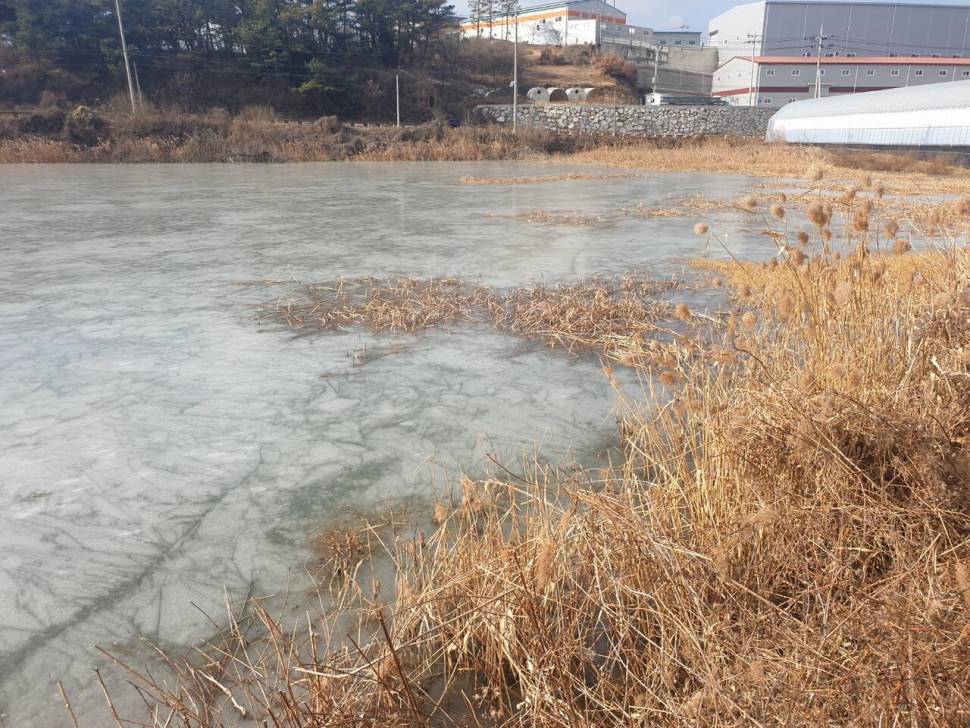 첫 얼음낚시 (조황조행기 - 화보조행기)