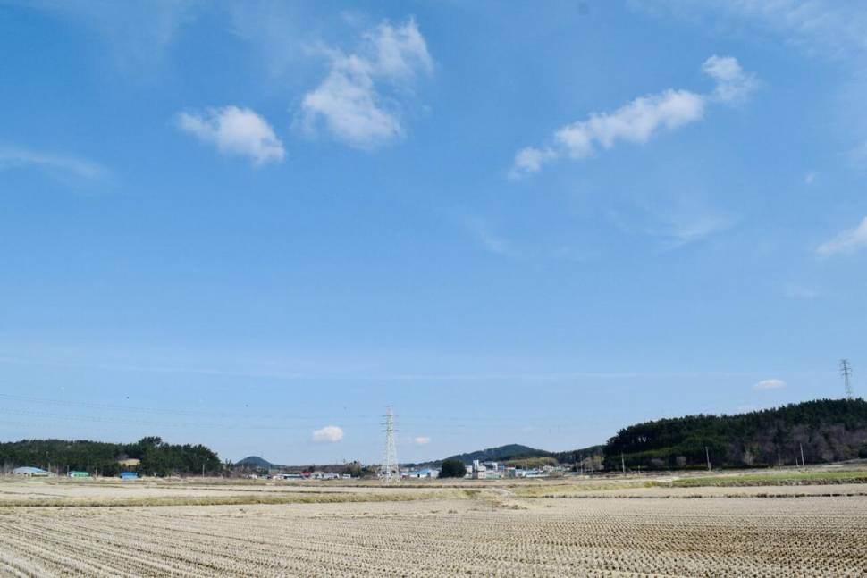 공간의 낚시 조행기 (조황조행기 - 화보조행기)