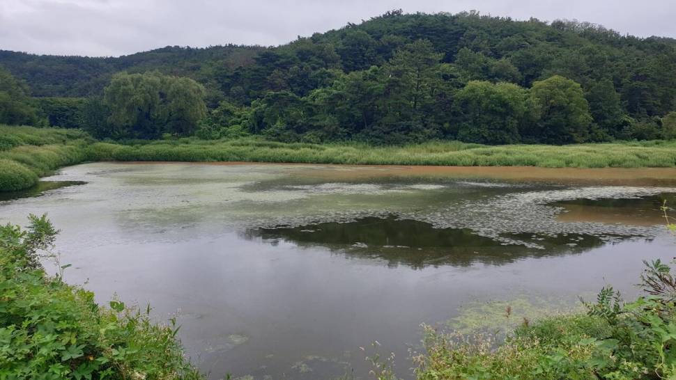 나홀로 번출 (조황조행기 - 화보조행기)