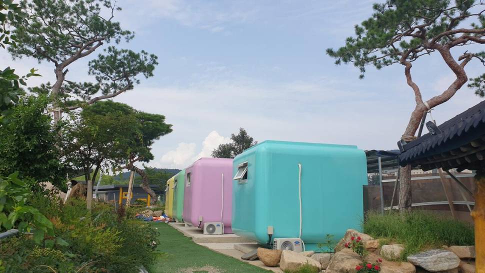 경산 완제지 입문자들을 위한 멋진 장소에 다녀왔습니다 (조황조행기 - 화보조행기)