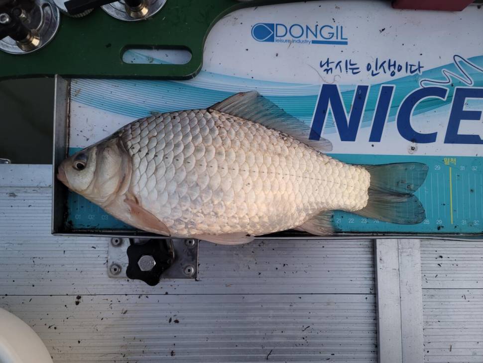 해창만에서 영암수로까지 (조황조행기 - 화보조행기)