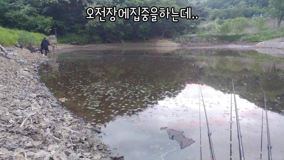 지존조행기아빠와 아들 그리고 피조사 (조황조행기 - 화보조행기)