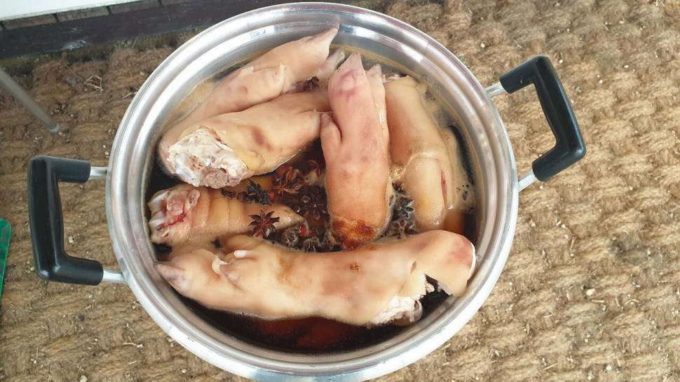 피싱 패밀리시즌마감 (조황조행기 - 화보조행기)