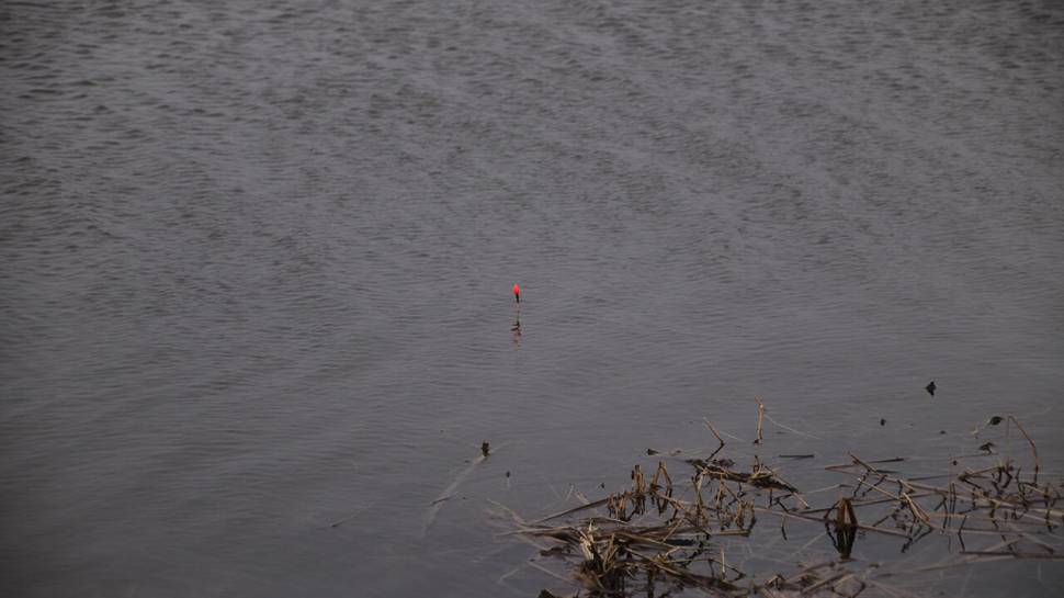 붕어낚시 시즌 시작 Carp fishing season begins (조황조행기 - 화보조행기)