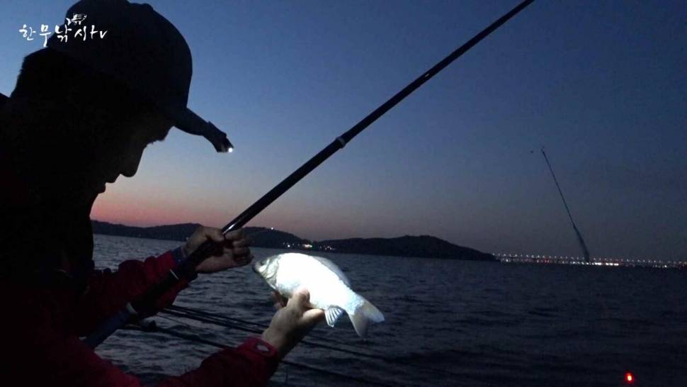 아산평택호 캠핑낚시 차대고 바로 무조건 추천합니다 가족캠핑 붕어낚시 (조황조행기 - 화보조행기)