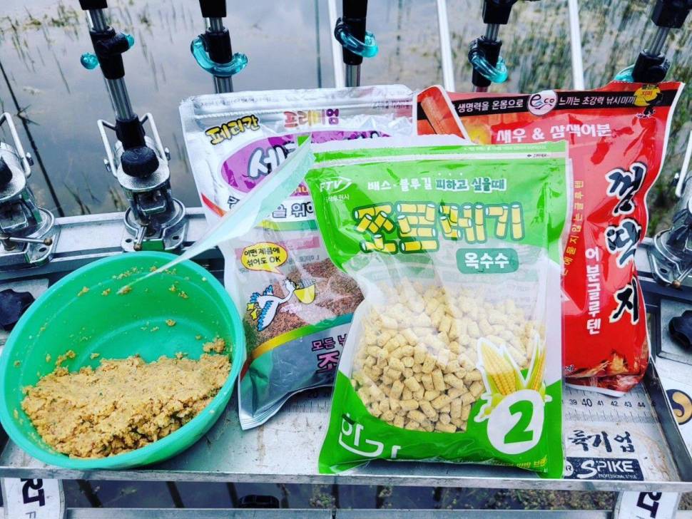 까멜리아의 여섯 번째 조행기 입니다 (조황조행기 - 화보조행기)