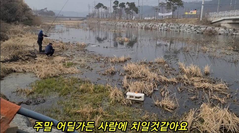부들갈대 낮은수심 낚시 (조황조행기 - 화보조행기)