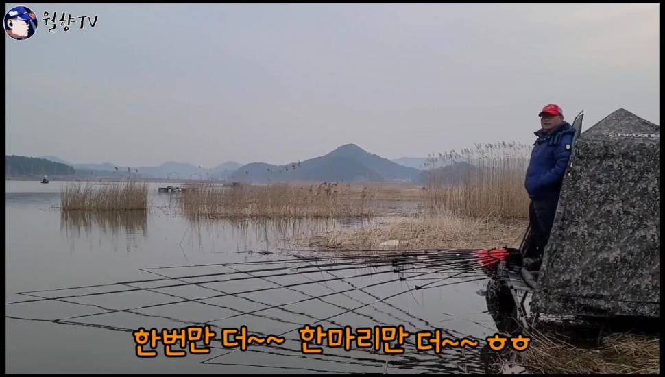 붕어낚시 홍성호에서 6치부터 4짜까지 마릿수 성공 (조황조행기 - 화보조행기)