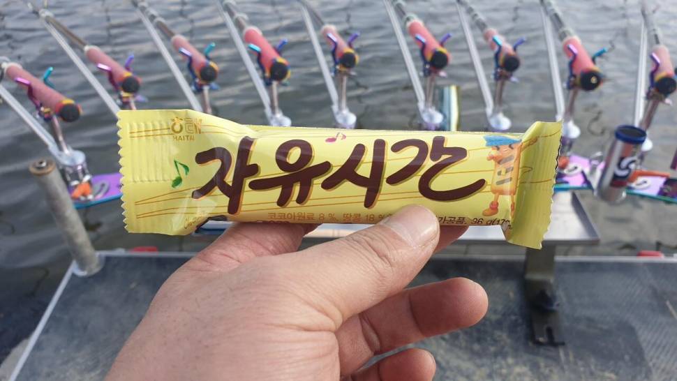 미동없는 찌를 바라보며 (조황조행기 - 화보조행기)