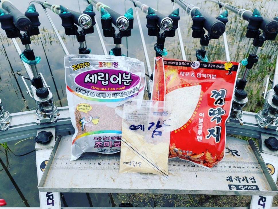 까멜리아의 여섯 번째 조행기 입니다 (조황조행기 - 화보조행기)