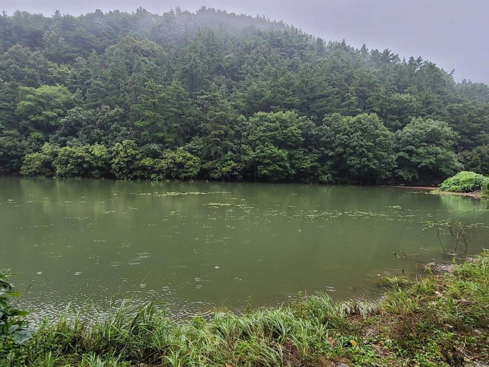 가을의 문턱에 찾은 산속 계곡지 (조황조행기 - 화보조행기)