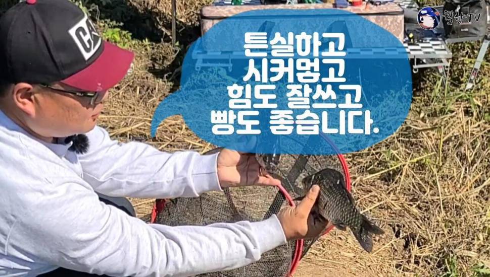 담양 봉산수로 현지인 애장터에서 놀다가 왔어요 (조황조행기 - 화보조행기)