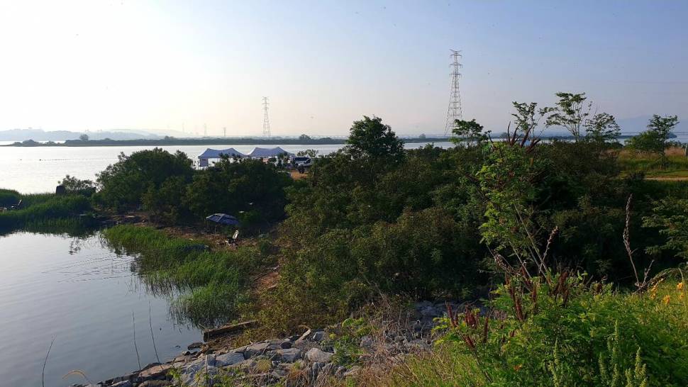 대물 밤낚시대회 (조황조행기 - 화보조행기)