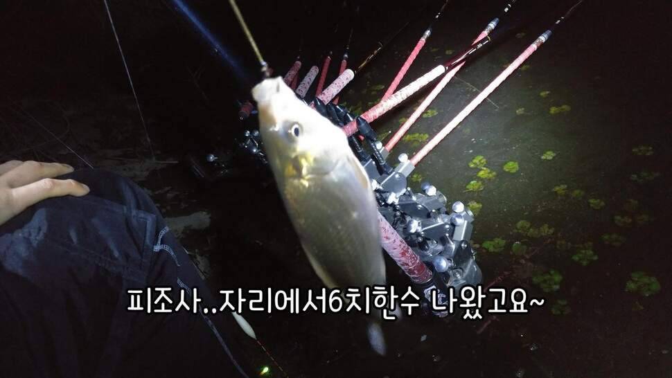 지존조행기아빠와 아들 그리고 피조사 (조황조행기 - 화보조행기)