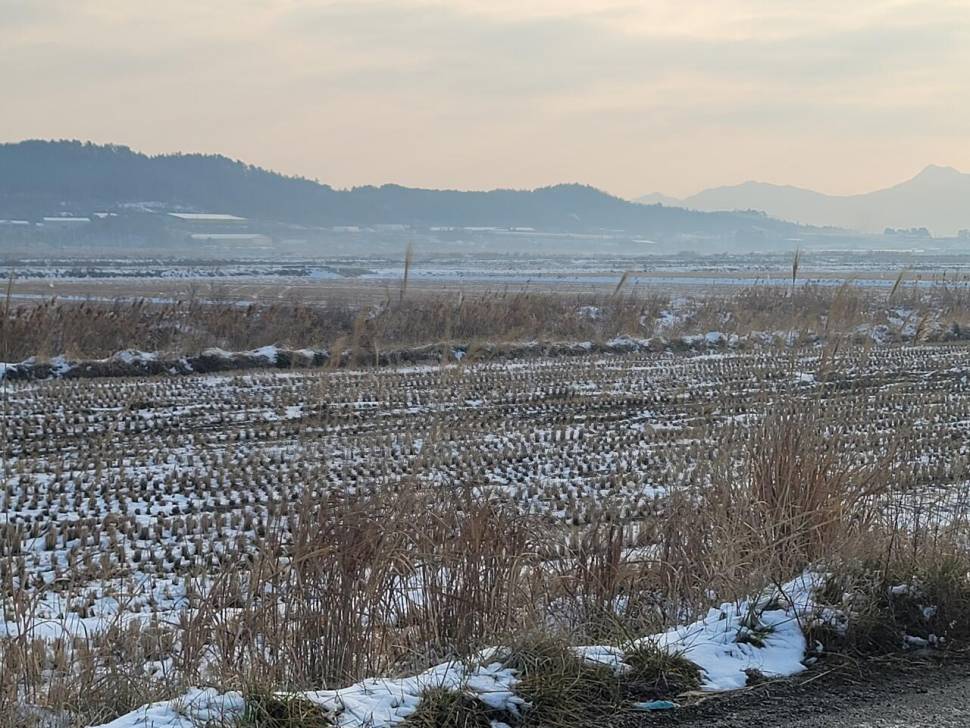 한파끝에 찾은 해남 (조황조행기 - 화보조행기)