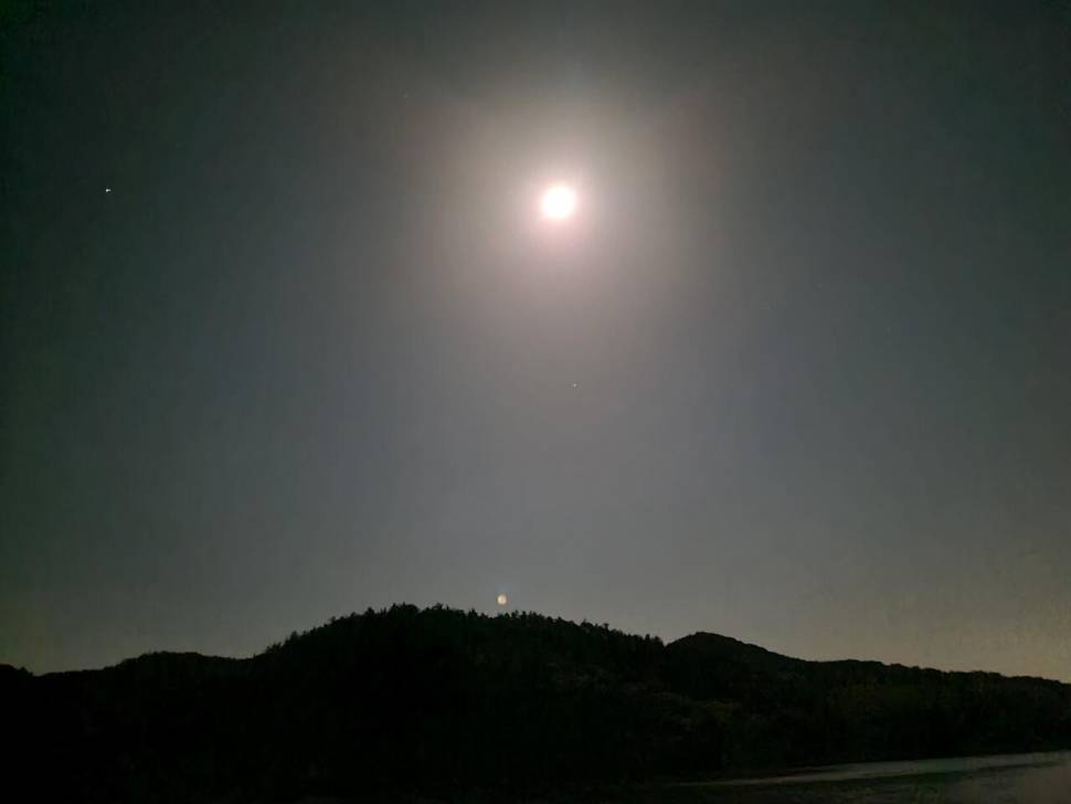 어리연 군락 대물붕어를 만났습니다 (조황조행기 - 화보조행기)