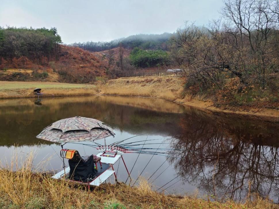 먹개비의 낚시 투어 211탄 먹보 붕애들 (조황조행기 - 화보조행기)