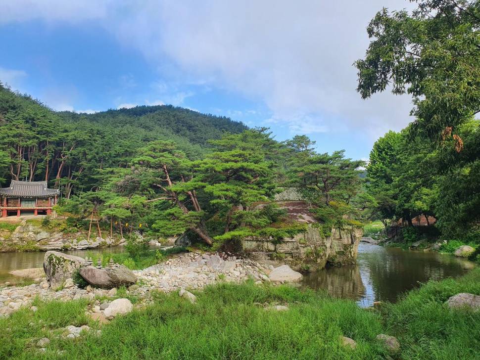 끝여름밤의 꿈을 찿아서 (조황조행기 - 화보조행기)