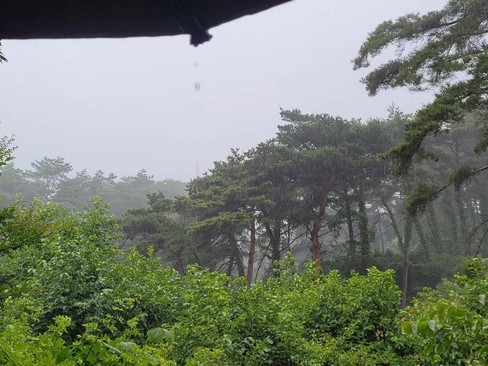 오늘의 주인공은 바로 형님 (조황조행기 - 화보조행기)