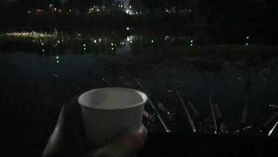 대물붕어를 만나다 (조황조행기 - 화보조행기)