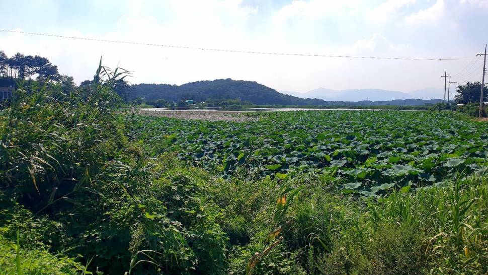 홀로한낚시 (조황조행기 - 화보조행기)