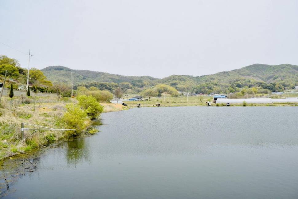 공간의 낚시 조행기 (조황조행기 - 화보조행기)