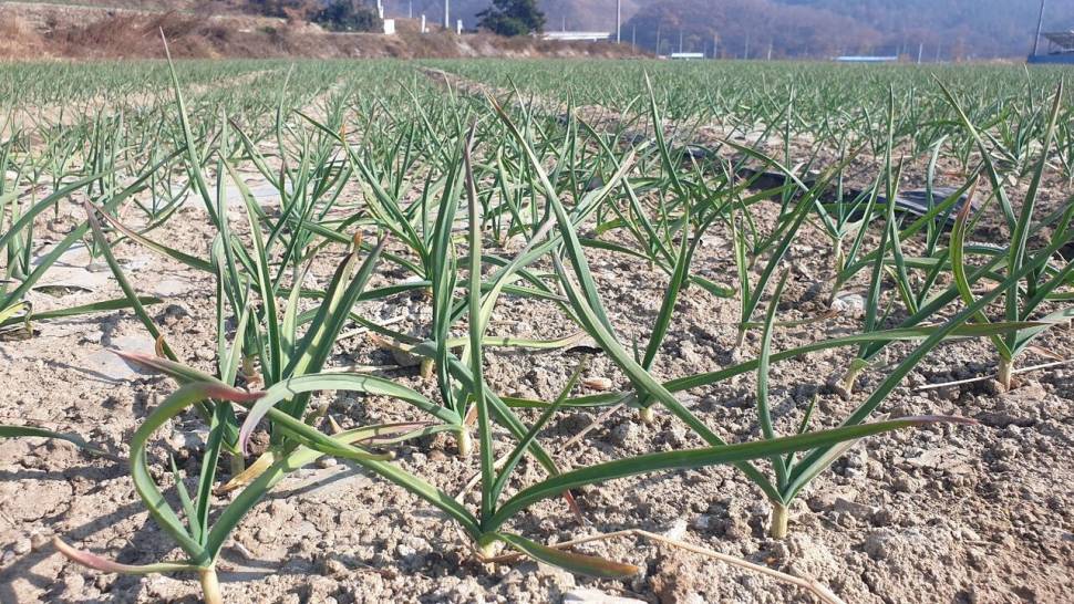 피싱패밀리 돌아온스테고 (조황조행기 - 화보조행기)