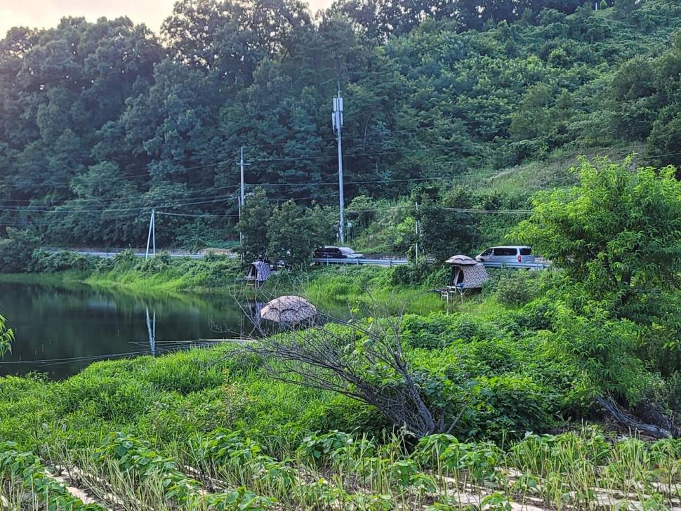 오랜만에 인사드립니다 (조황조행기 - 화보조행기)