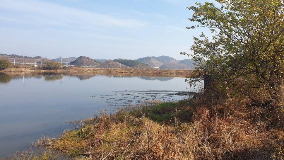 피싱패밀리 돌아온스테고 (조황조행기 - 화보조행기)