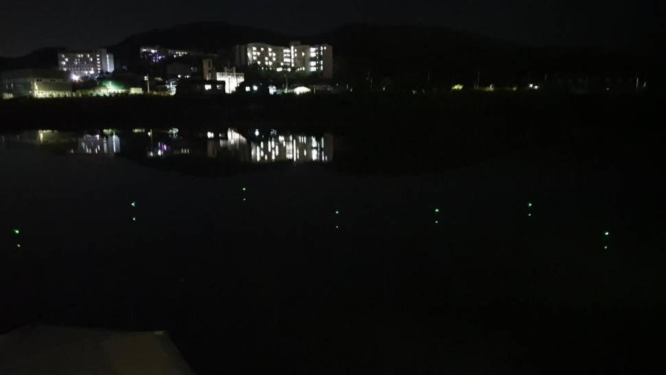 가족과 함께한펜션낚시 (조황조행기 - 화보조행기)
