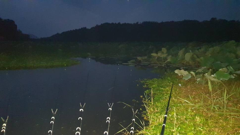 홀로한낚시 (조황조행기 - 화보조행기)