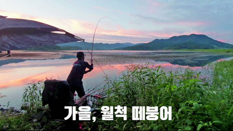 가을 대물터의 월척 떼붕어 (조황조행기 - 화보조행기)