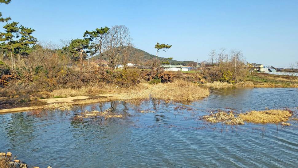 겨울에도 호조황 붕어낚시 (조황조행기 - 화보조행기)