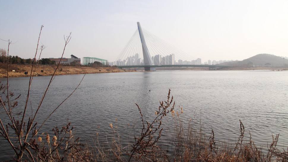 한겨울에 낚인 4짜 붕어들 (조황조행기 - 화보조행기)