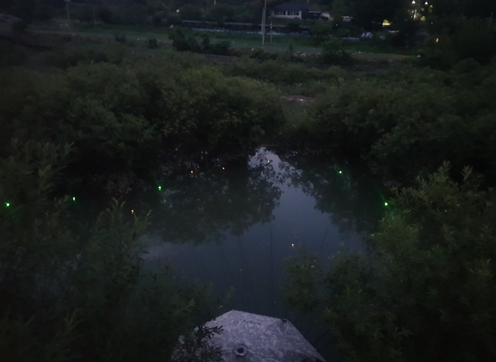 오름 수위 (조황조행기 - 화보조행기)
