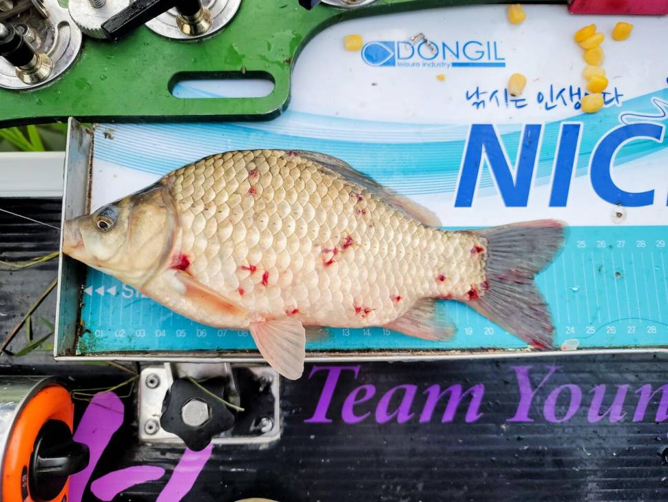 뜨거웠던 저수지에서 하룻밤 (조황조행기 - 화보조행기)