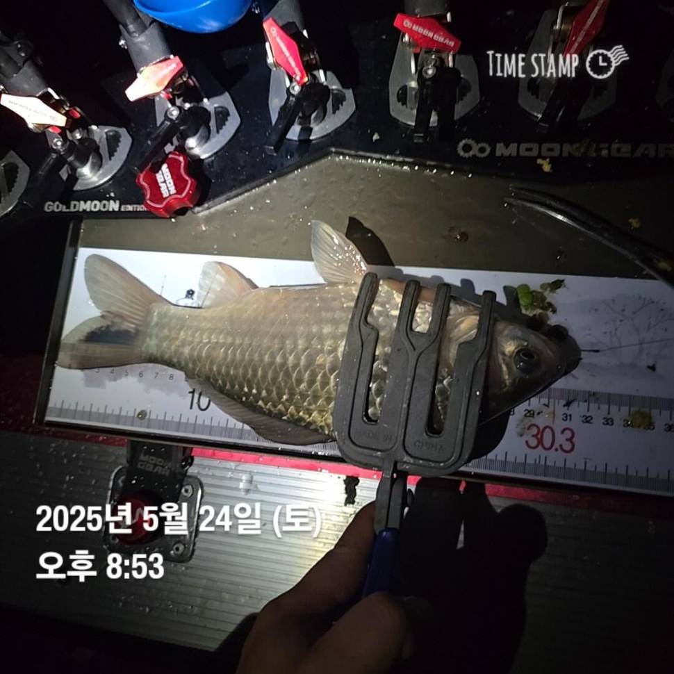 풍비의 주말 나들이 ♧☆ (조황조행기 - 화보조행기)