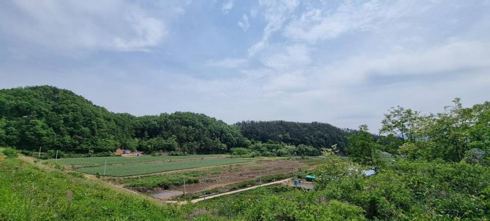 말없이 (조황조행기 - 화보조행기)
