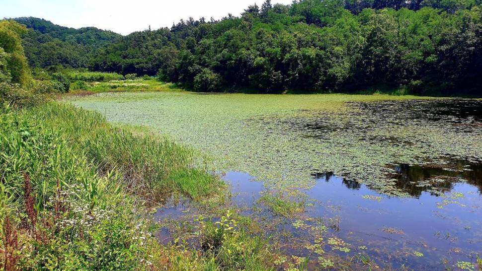 산속놀이터 (조황조행기 - 화보조행기)