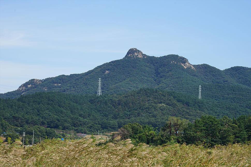 저수지 친구 주말엔 낚시지 (조황조행기 - 화보조행기)
