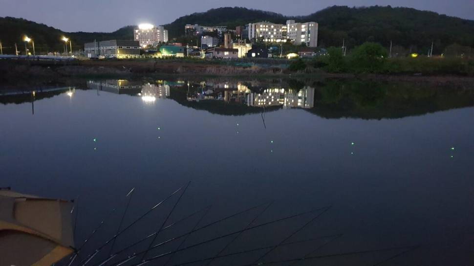 가족과 함께한펜션낚시 (조황조행기 - 화보조행기)