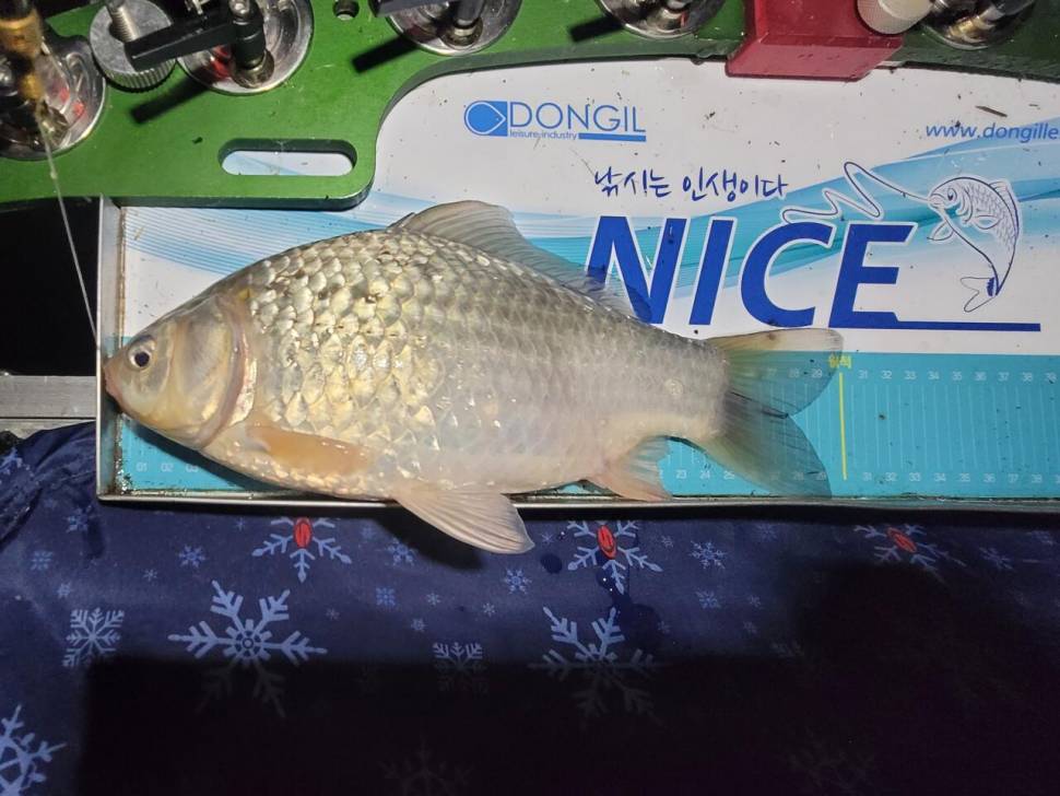 해창만에서 영암수로까지 (조황조행기 - 화보조행기)